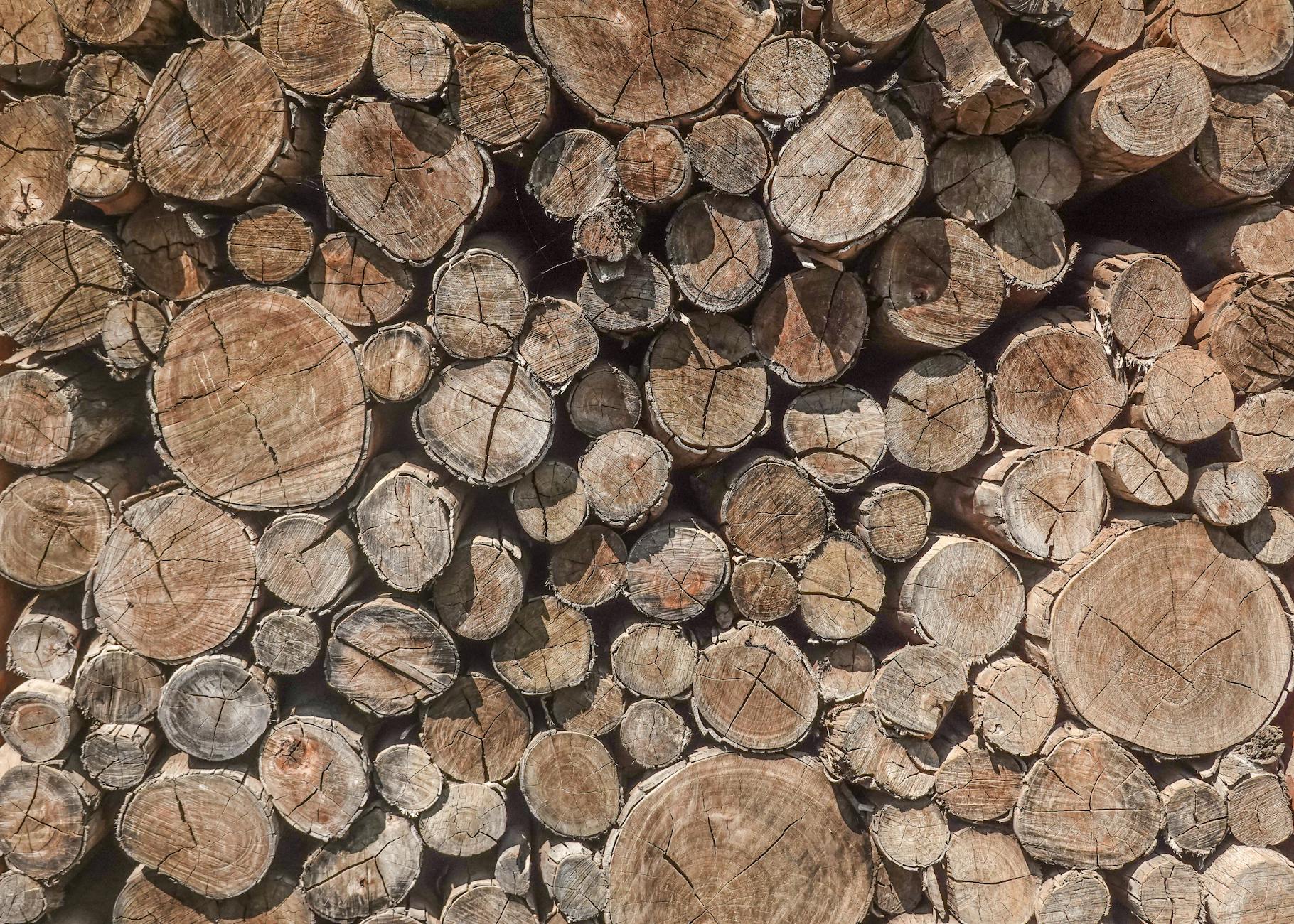 Energy market analysis with renewable and traditional sources